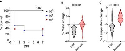 Intranasal immunization with a Bucl8-based vaccine ameliorates bacterial burden and pathological inflammation, and promotes an IgG2a/b dominant response in an outbred mouse model of Burkholderia infection